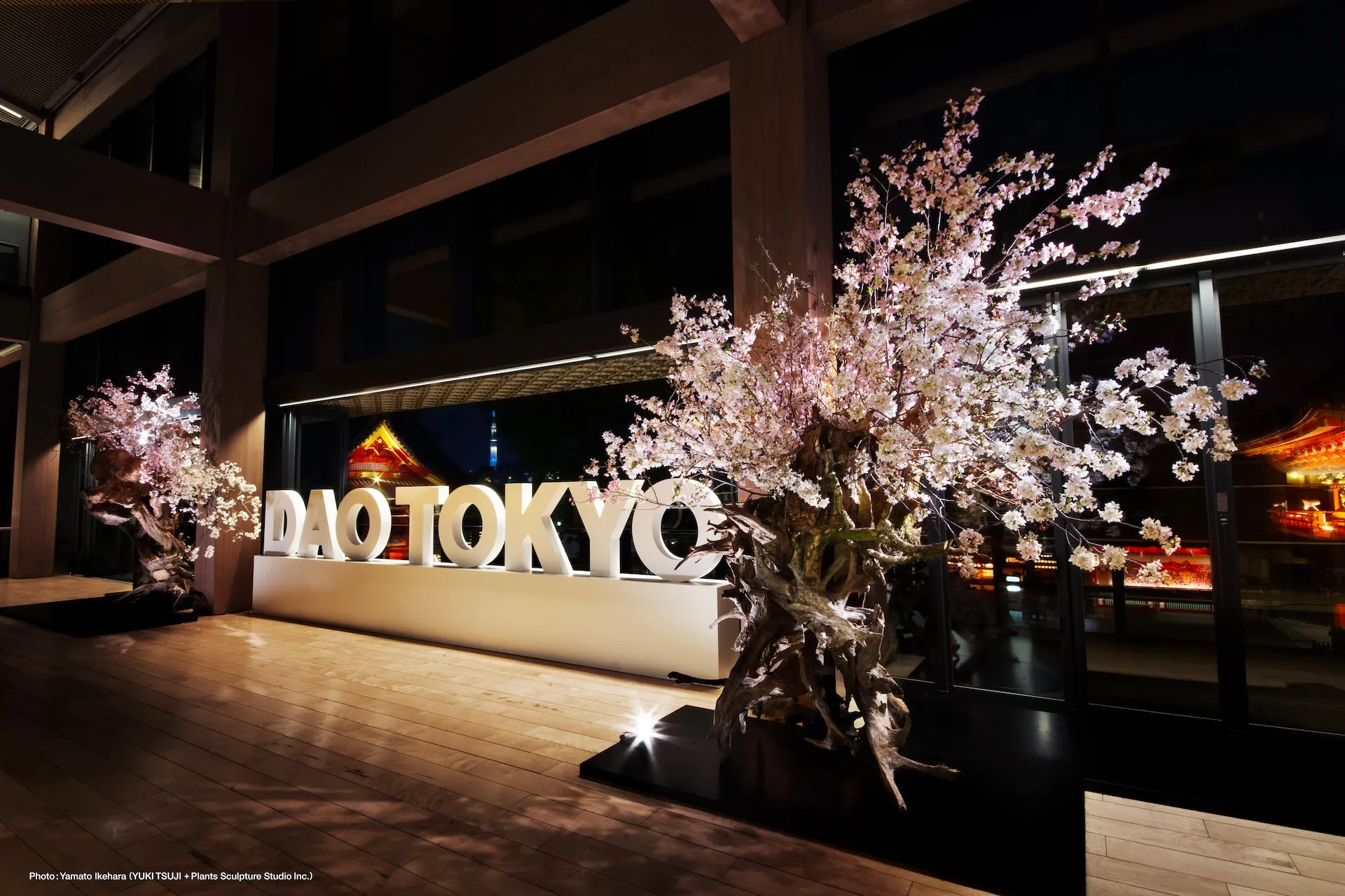 DAO TOKYO 2023 illuminated signage with cherry blossoms at Kanda Myojin Hall, Tokyo - the edition where KlimaDAO offset the conference emissions, a first for a DAO event